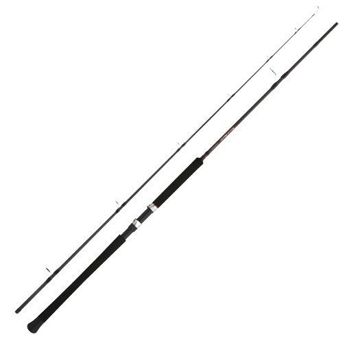 Удилище SHIMANO Forcemaster Catfish Static 300