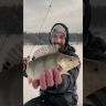 Удочка зимняя Mikado FEATHER ICE 50
